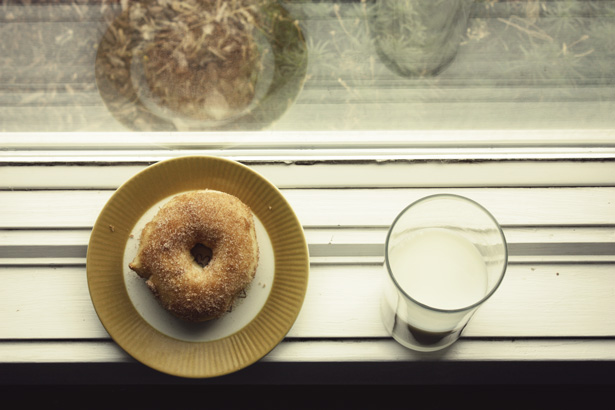baked doughnuts