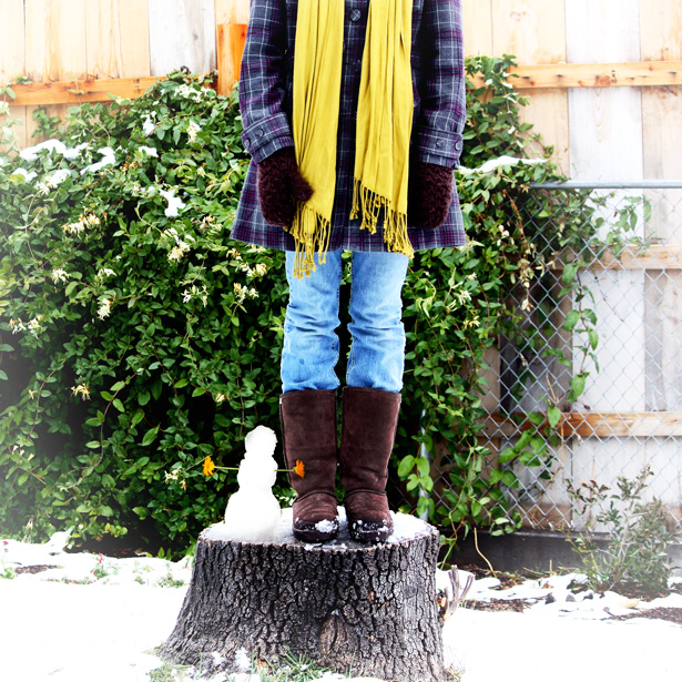 snow fall